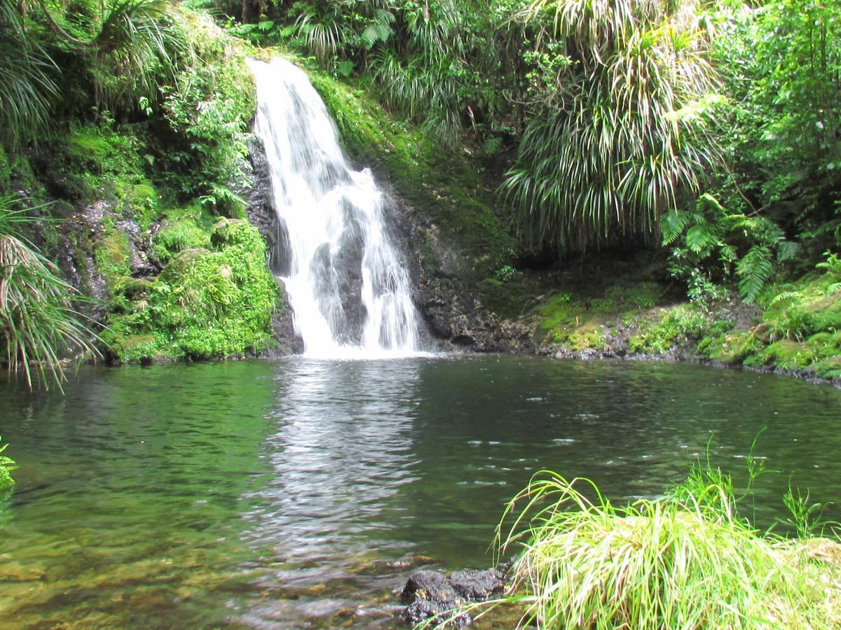 Rolling Hills Country Stay B&B Tauranga Dış mekan fotoğraf