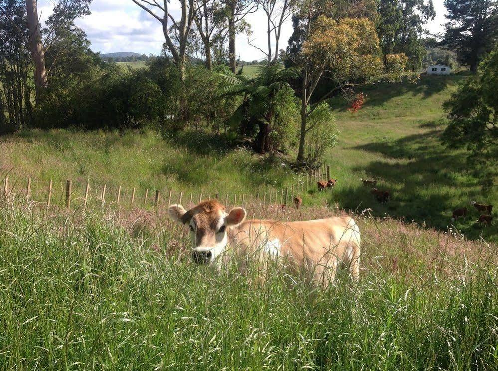 Rolling Hills Country Stay B&B Tauranga Dış mekan fotoğraf